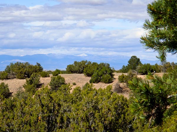 Land for sale New Mexico-