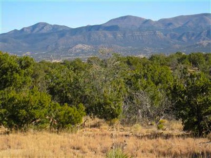 Land for sale New mexico