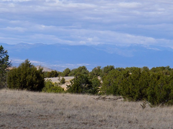 Land For Sale NM