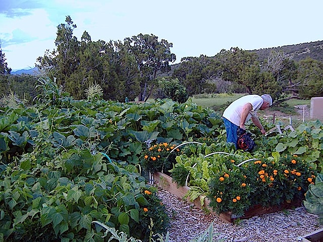 San-Pedro-Creek-Gardening