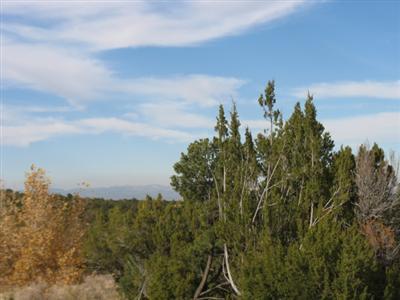 Bank Owned Land