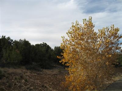 Land Foreclosure NM