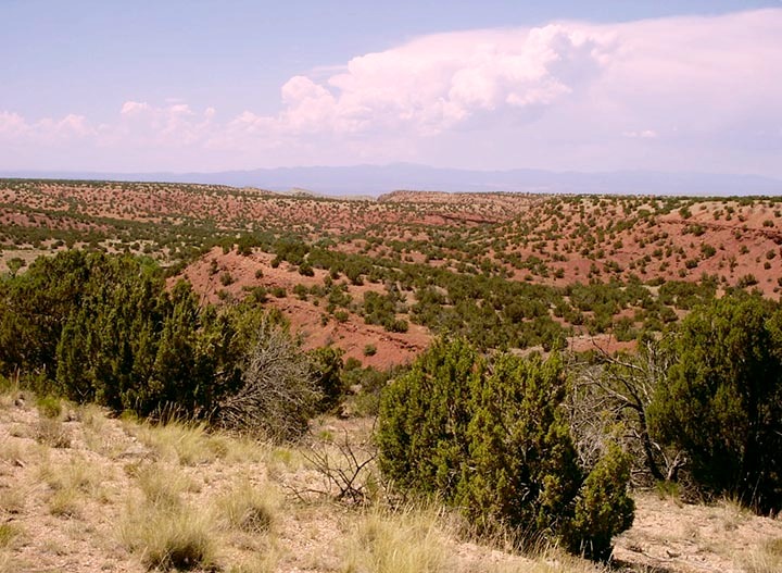 San-Pedro-Overlook