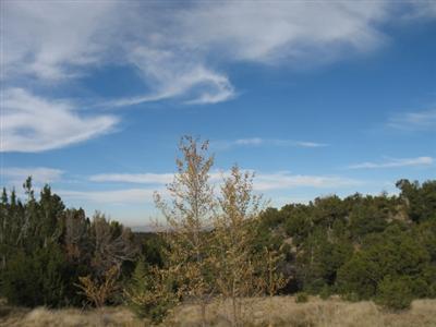 SanPedroCreek Land Foresclosure